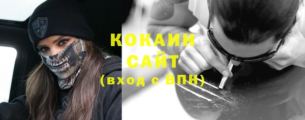 индика Наволоки