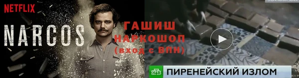 амф Надым