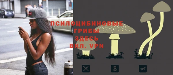 мдпв Навашино