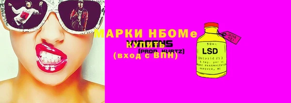 индика Наволоки