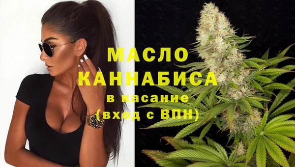индика Наволоки