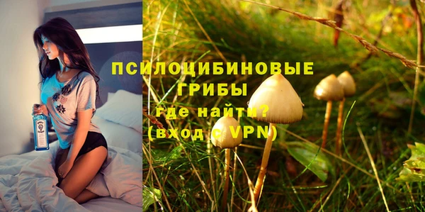 индика Наволоки