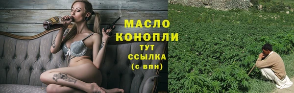 индика Наволоки