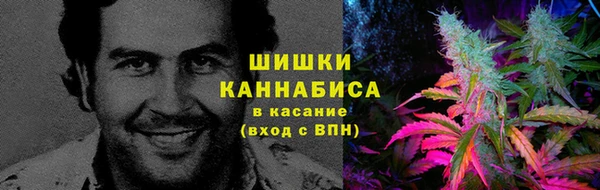 индика Наволоки