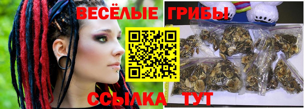 Псилоцибиновые грибы MAGIC MUSHROOMS  Вход с VPN  продажа наркотиков  Белгород 