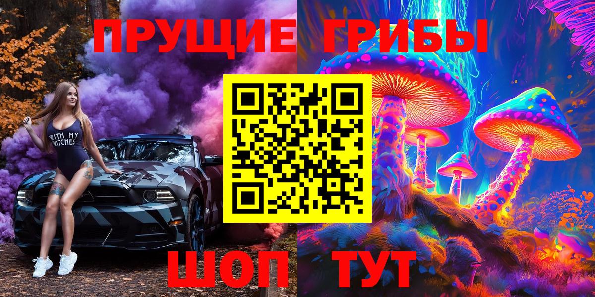 Галлюциногенные грибы Psilocybe Белгород