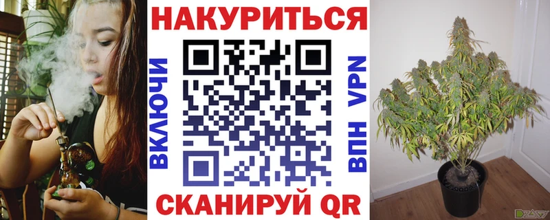 Канабис OG Kush  Белгород 